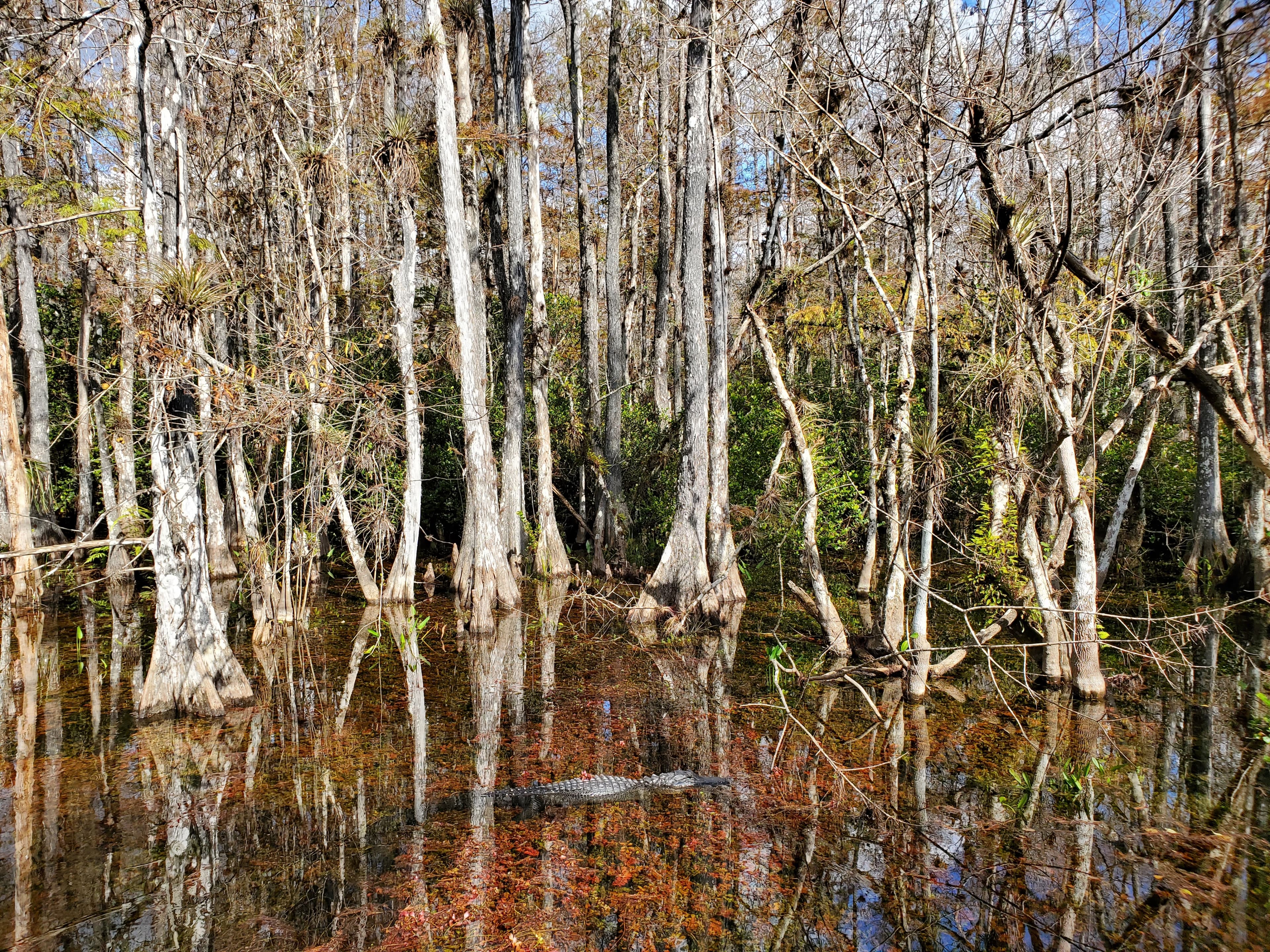 Everglades & Florida Keys